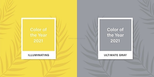 Kolor roku 2021 w odzieży gastronomicznej.